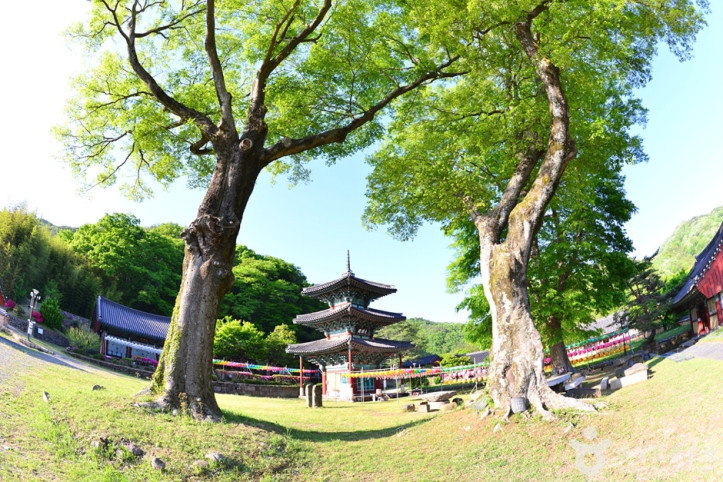쌍봉사(화순) 여행 추천 - 메고지고