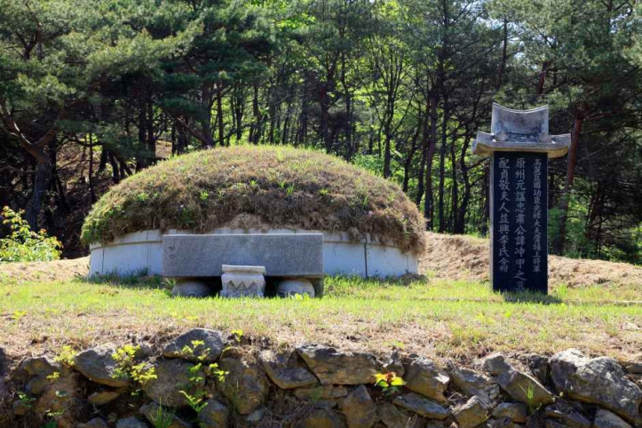 원주 원충갑묘역 여행 추천 - 메고지고