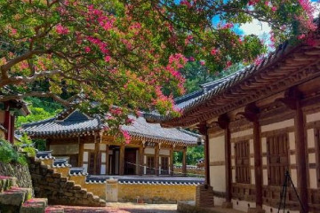 고령안화리암각화 여행 추천 - 메고지고