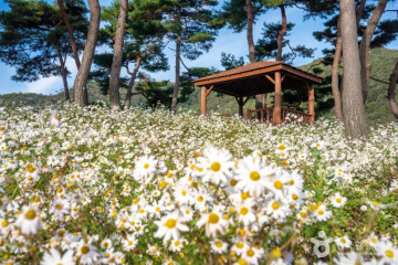국사봉(순창) 여행 추천 - 메고지고