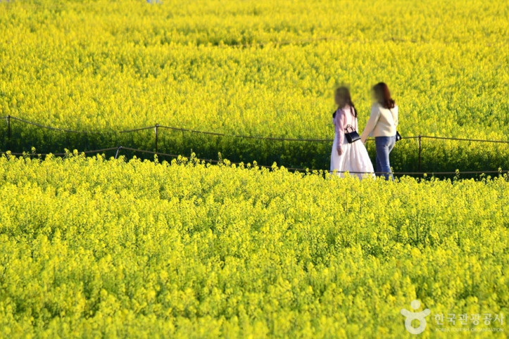 영산강둔치체육공원 여행 추천 - 메고지고
