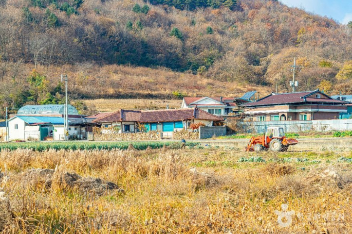 원연장 꽃잔디마을 여행 추천 - 메고지고