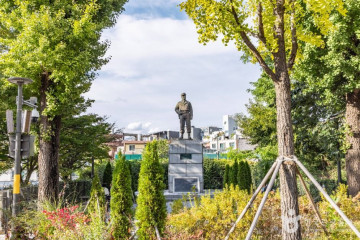 자라나는 숲(광진숲 나루 전망대) 여행 추천 - 메고지고
