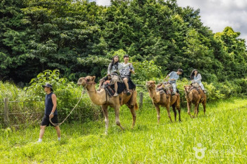 다이나믹 메이즈 제주 여행 추천 - 메고지고