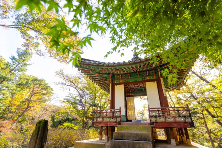 창덕궁과 후원 [유네스코 세계유산] 여행 추천 - 메고지고
