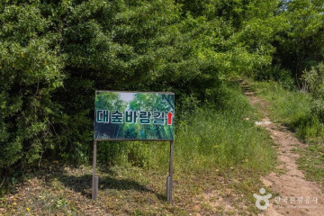 당진 백석올미마을 여행 추천 - 메고지고