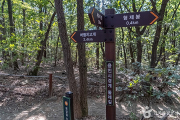 광교산 여행 추천 - 메고지고