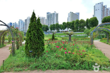 국제선센터 여행 추천 - 메고지고