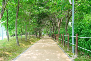 서호공원 여행 추천 - 메고지고