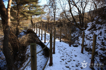 지리산 애완곤충농원 여행 추천 - 메고지고