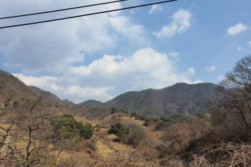 월리사(청주) 여행 추천 - 메고지고