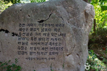 천관산동백생태숲 여행 추천 - 메고지고