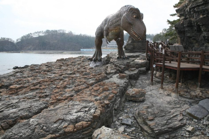 고성 덕명리 공룡발자국과 새발자국 화석산지 여행 추천 - 메고지고
