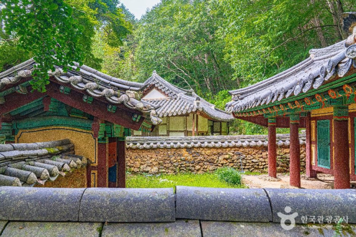 용진정사 여행 추천 - 메고지고