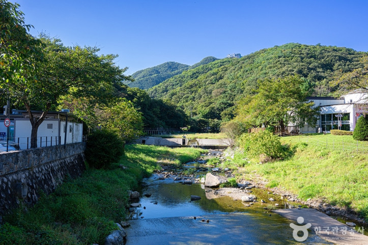 장흥관광지 여행 추천 - 메고지고