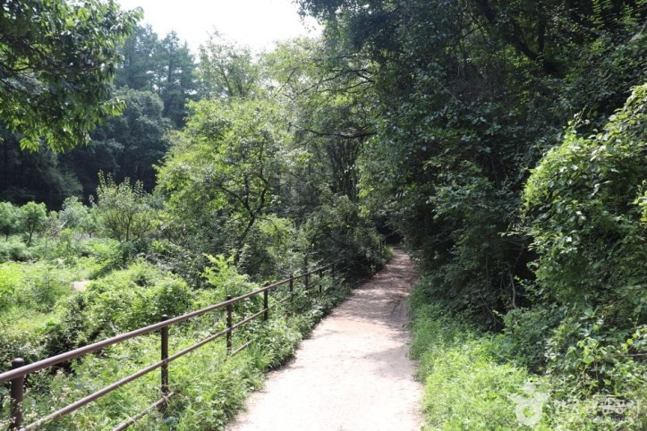 포암산(충주) 여행 추천 - 메고지고