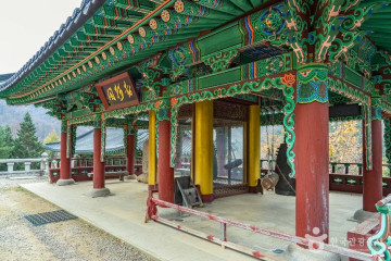 월정사 부도군 여행 추천 - 메고지고