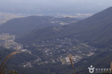 신불산억새평원 여행 추천 - 메고지고