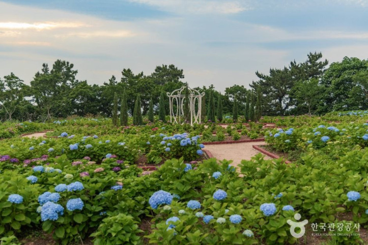 초양도 여행 추천 - 메고지고