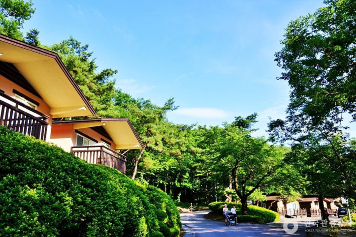 소선암자연휴양림 여행 추천 - 메고지고