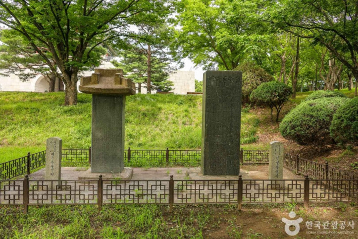 영영축성비 여행 추천 - 메고지고