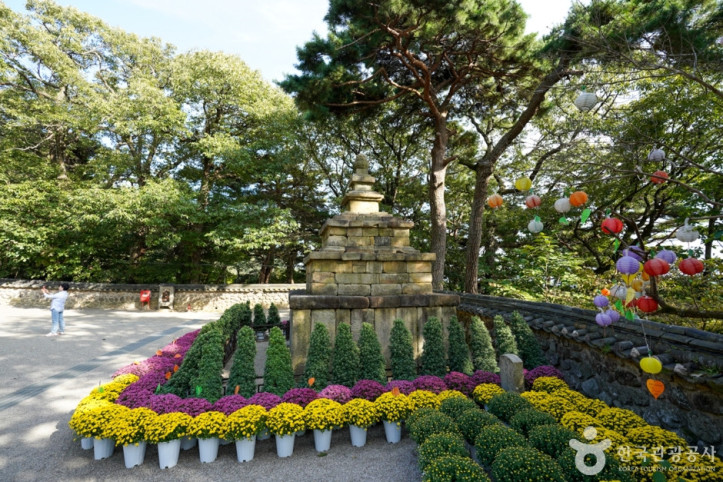 도리사(구미) 여행 추천 - 메고지고
