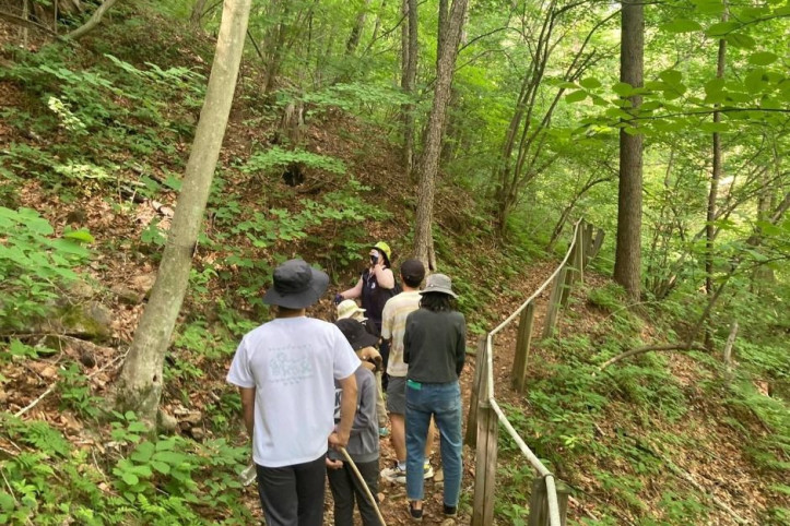 국립청옥산자연휴양림 여행 추천 - 메고지고