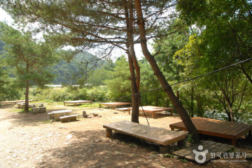 국순당 주향로 여행 추천 - 메고지고