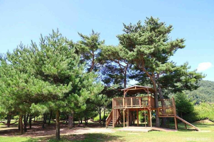 켄싱턴 프렌치 가든 여행 추천 - 메고지고