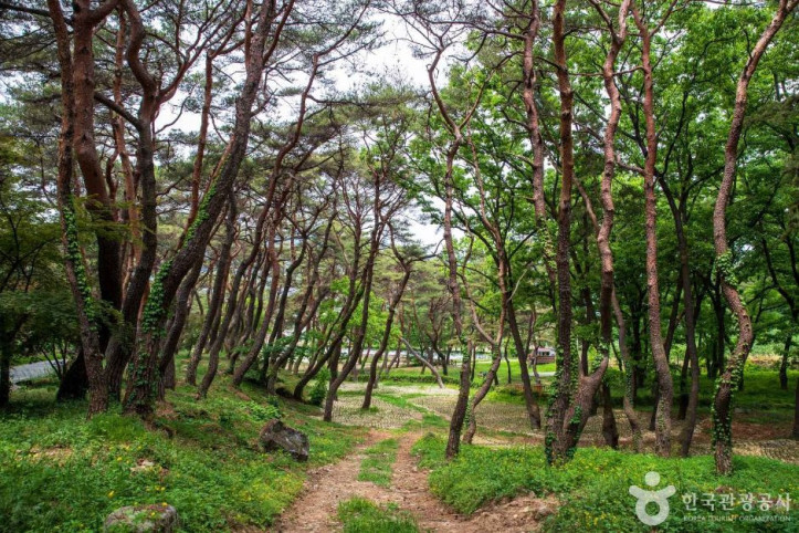 동호숲 여행 추천 - 메고지고