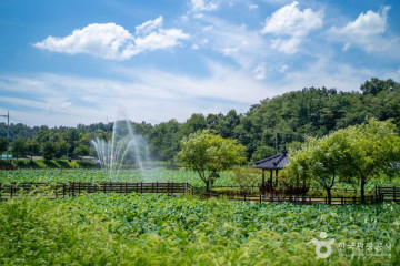 뒷미지수변공원(뒤미지) 여행 추천 - 메고지고