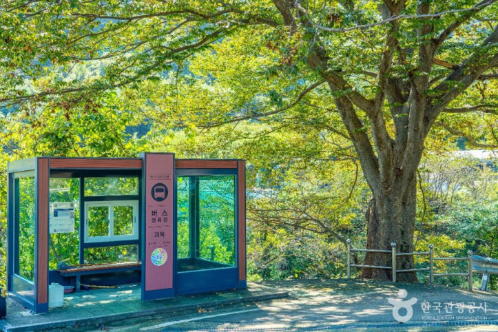 괴목마을 여행 추천 - 메고지고