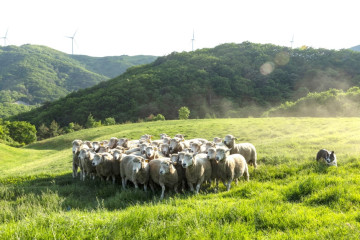 황병산 여행 추천 - 메고지고