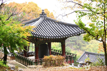 충민사 여행 추천 - 메고지고