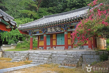 오늘의 딸기 여행 추천 - 메고지고