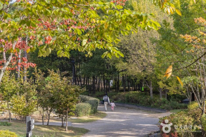 서울창포원 여행 추천 - 메고지고