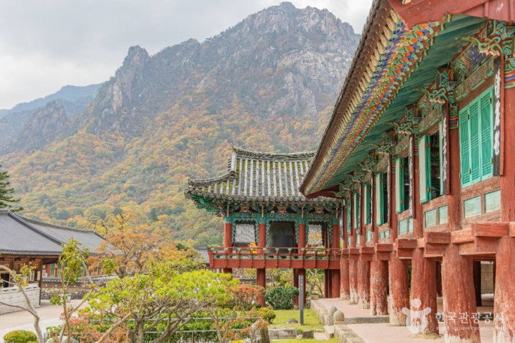 신흥사(설악산) 여행 추천 - 메고지고