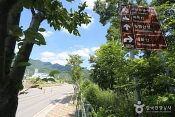 국지산 여행 추천 - 메고지고