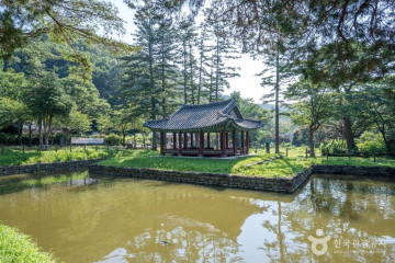 남한산성벚꽃길 여행 추천 - 메고지고