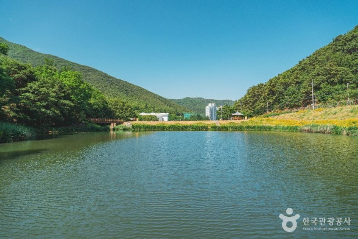 진밭골산림공원 여행 추천 - 메고지고