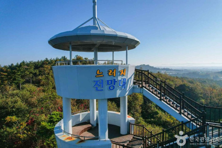 느러지전망관람대 여행 추천 - 메고지고