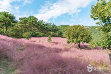 소요산 (전북 서해안 국가지질공원) 여행 추천 - 메고지고