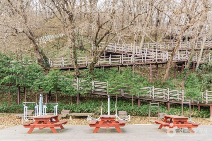 도음산산림문화수련장 여행 추천 - 메고지고