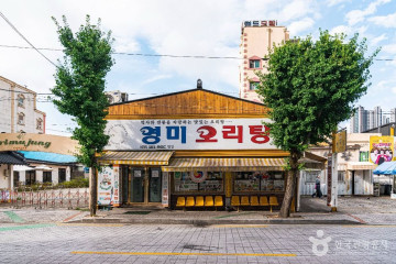 요담엔 여행 추천 - 메고지고