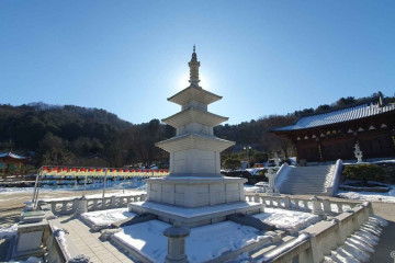 가평 영양잣마을 여행 추천 - 메고지고