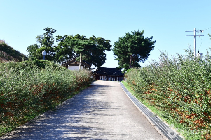 영암읍성 여행 추천 - 메고지고