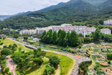 계룡산 여행 추천 - 메고지고
