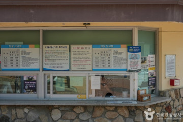 후포항 선수포구 여행 추천 - 메고지고