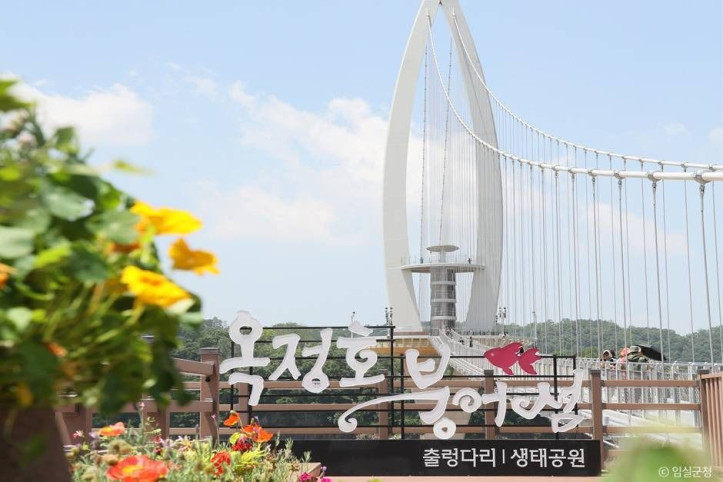 옥정호 출렁다리 및 붕어섬생태공원 여행 추천 - 메고지고