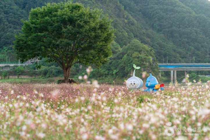 도담정원 여행 추천 - 메고지고
